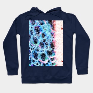 Blue Bubs Hoodie